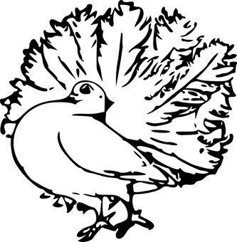 Pigeonin Darkness PNG with transparent background