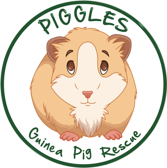 Piggles Guinea Pig Rescue Logo