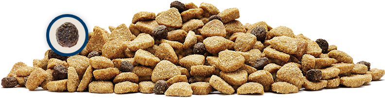 Pileof Dry Dog Food