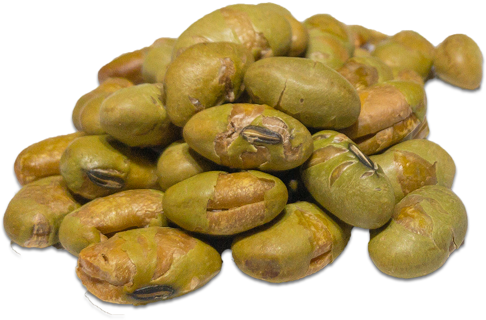 Pileof Edamame Beans.png