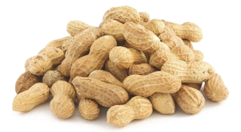 Pileof Peanuts Transparent Background