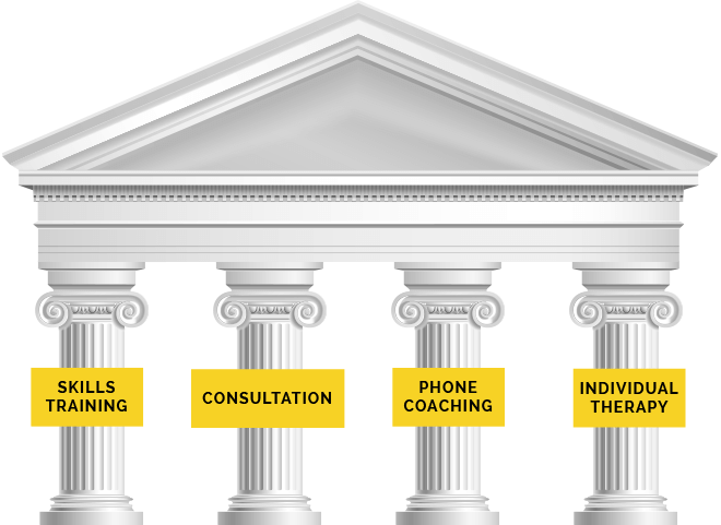 What Does It Mean To Be A Fully - Pillars Of Dbt, HD Png Download PNG image with a transparent background, free high-resolution download