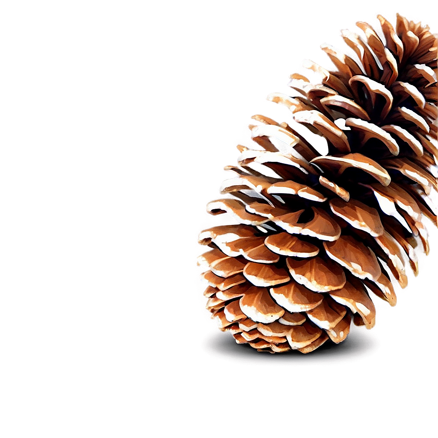 Pine Cone Decoration Png 47