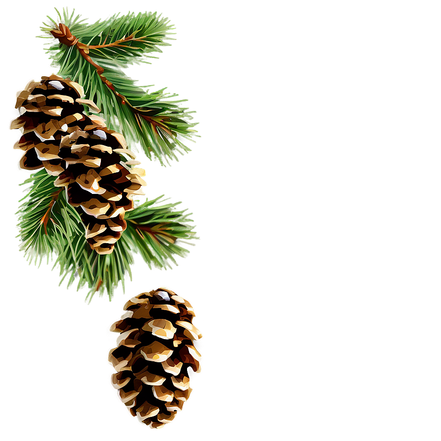 Pine Cone PNG 06202024 PNG image with a transparent background, free high-resolution download
