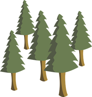 Pine Forest Illustration PNG with transparent background