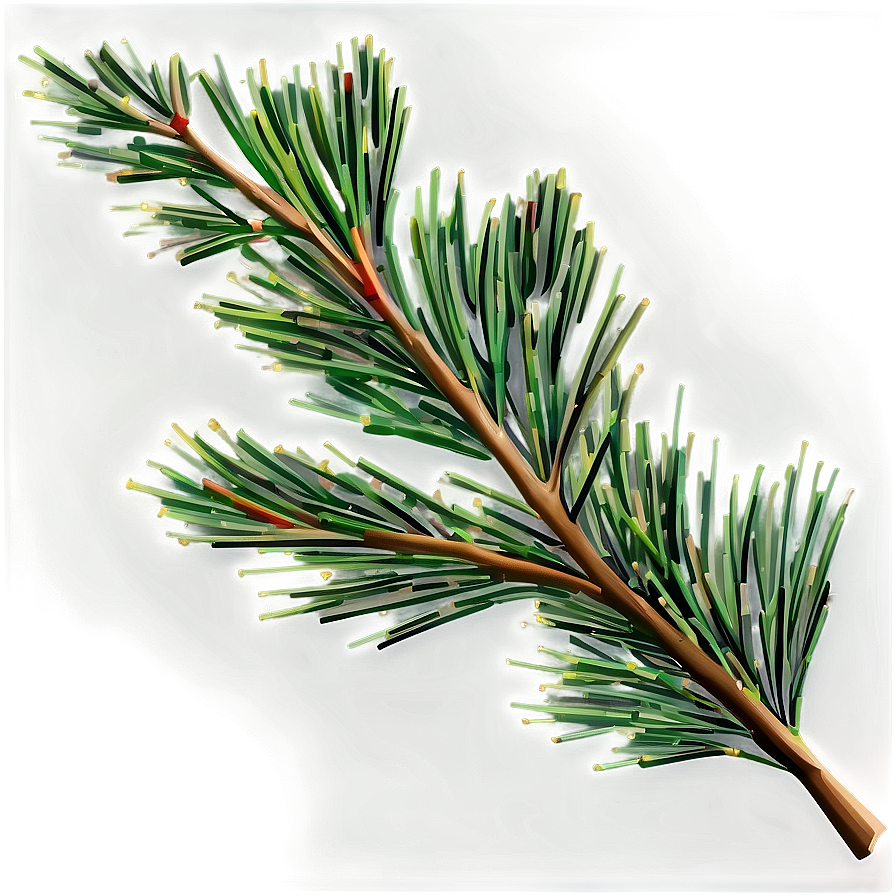 Pine Tree Branches Png Oth24