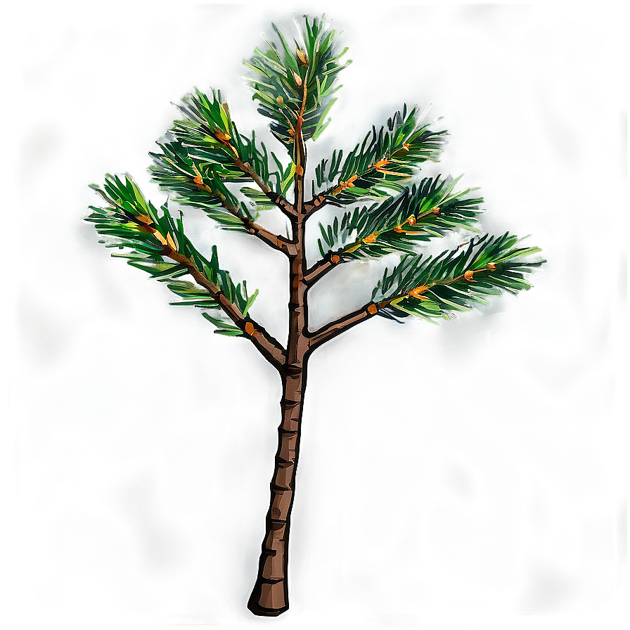 Pine Tree Sapling PNG ert PNG with transparent background