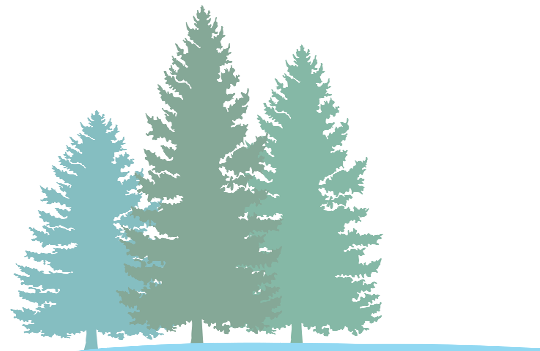 Pine Tree Silhouette Graphic