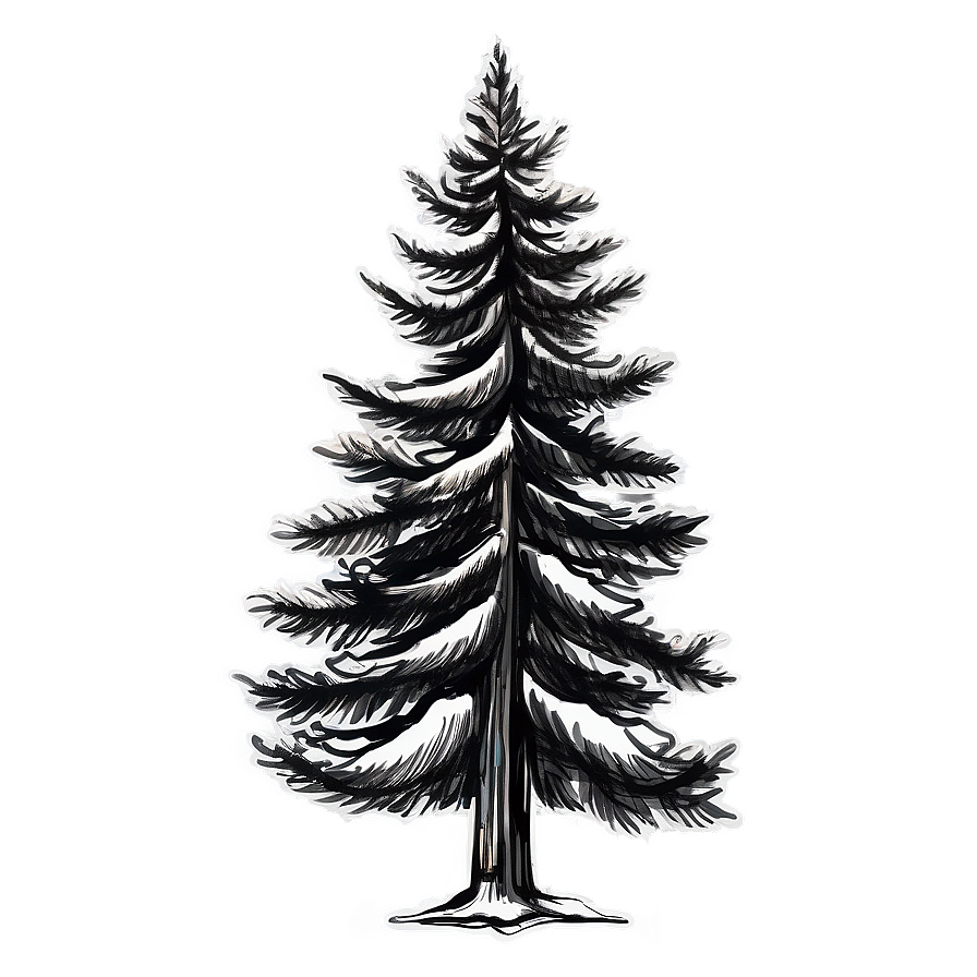Pine Tree Sketch PNG qby14 PNG with transparent background