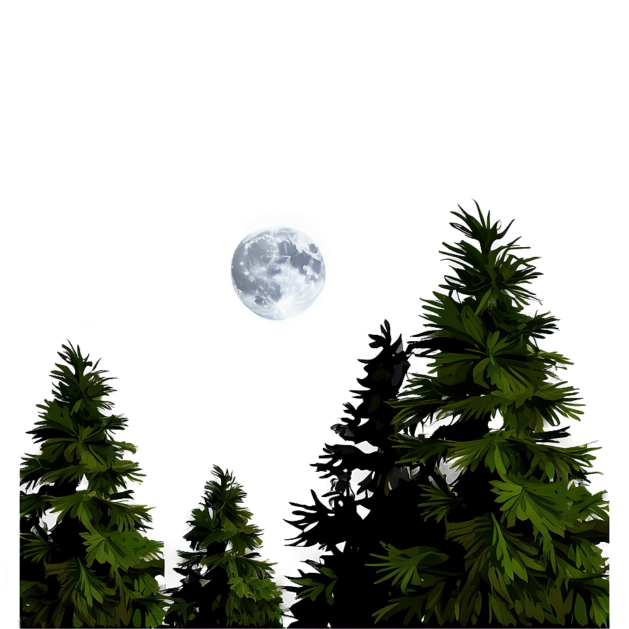 Pine Trees And Moon Png 05252024