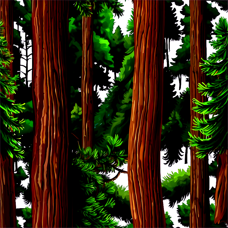 Pine Trees Art Png 05252024