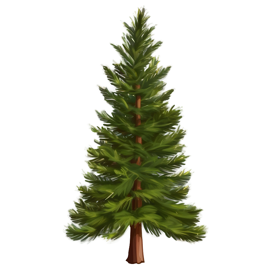 Pine Trees Forest PNG 05252024 PNG image with a transparent background, free high-resolution download
