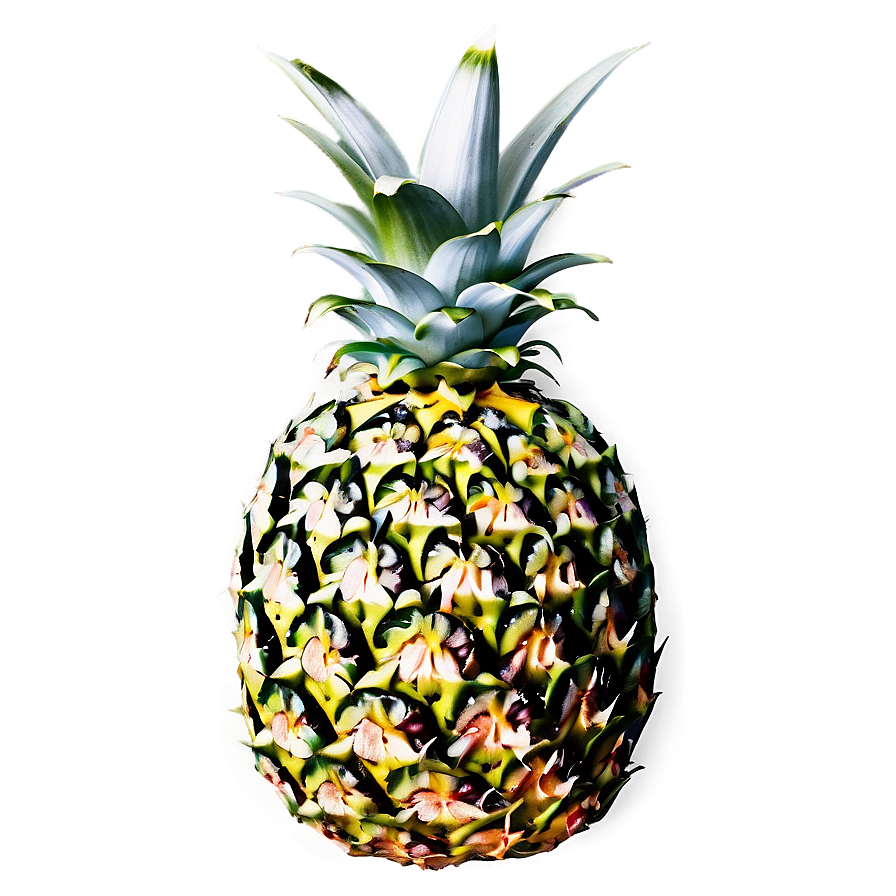 Pineapple Fresh Cut Png Nix56