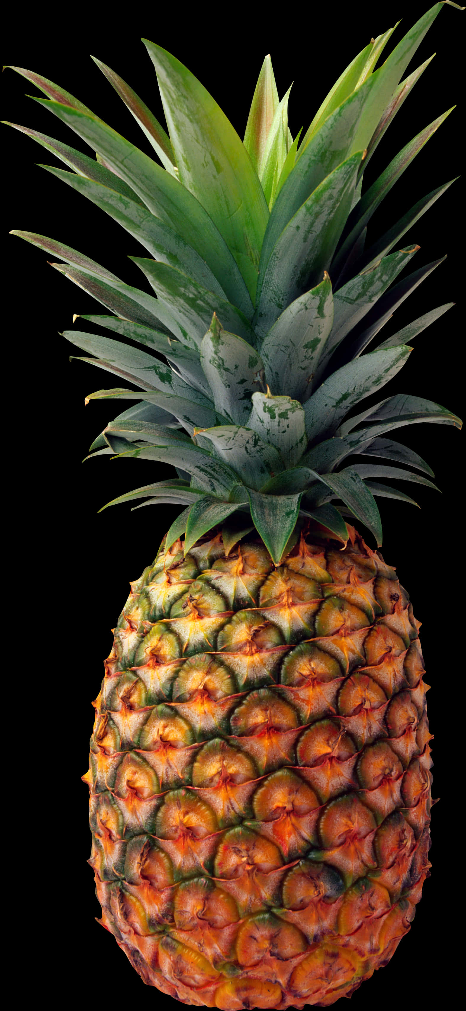 Pineapple Png Image PNG with transparent background