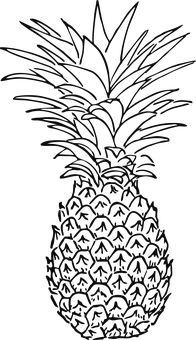 Pineapple Silhouette Outline PNG with transparent background