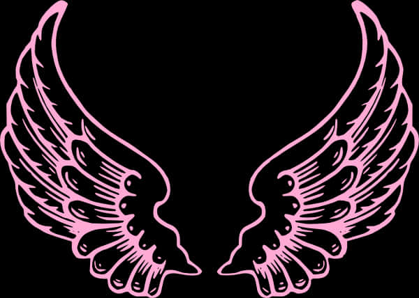 Pink Angel Wings Vector Illustration