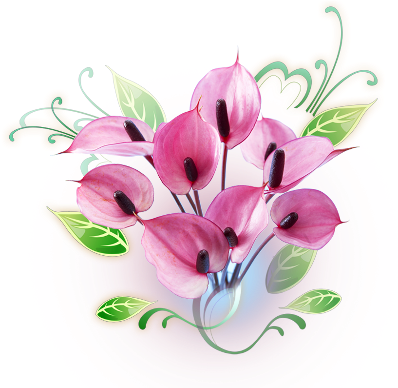 Flower Clipart Png - Ullas Hindi Pathmala 5, Transparent Png PNG image with a transparent background, free high-resolution download