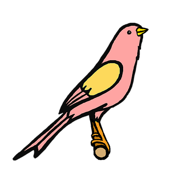 Pink Bird Illustration PNG with transparent background