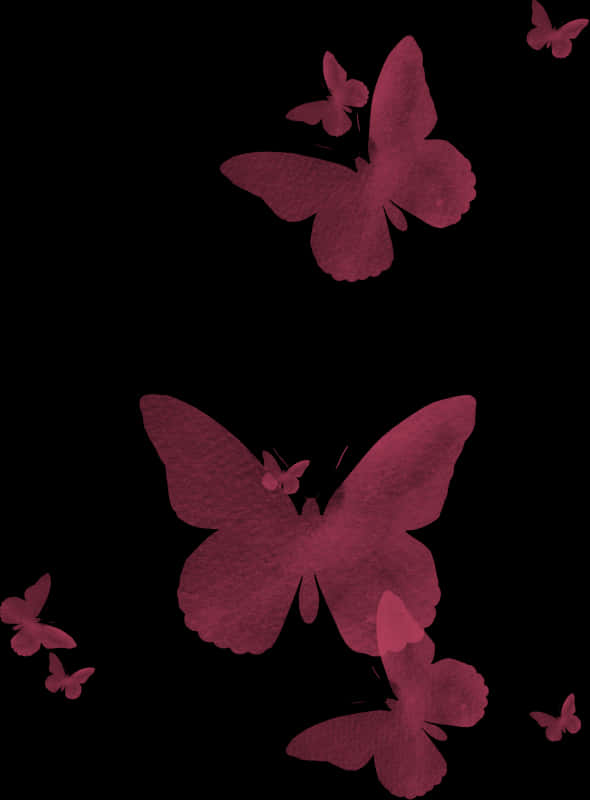 Pink_ Butterflies_on_ Black_ Background