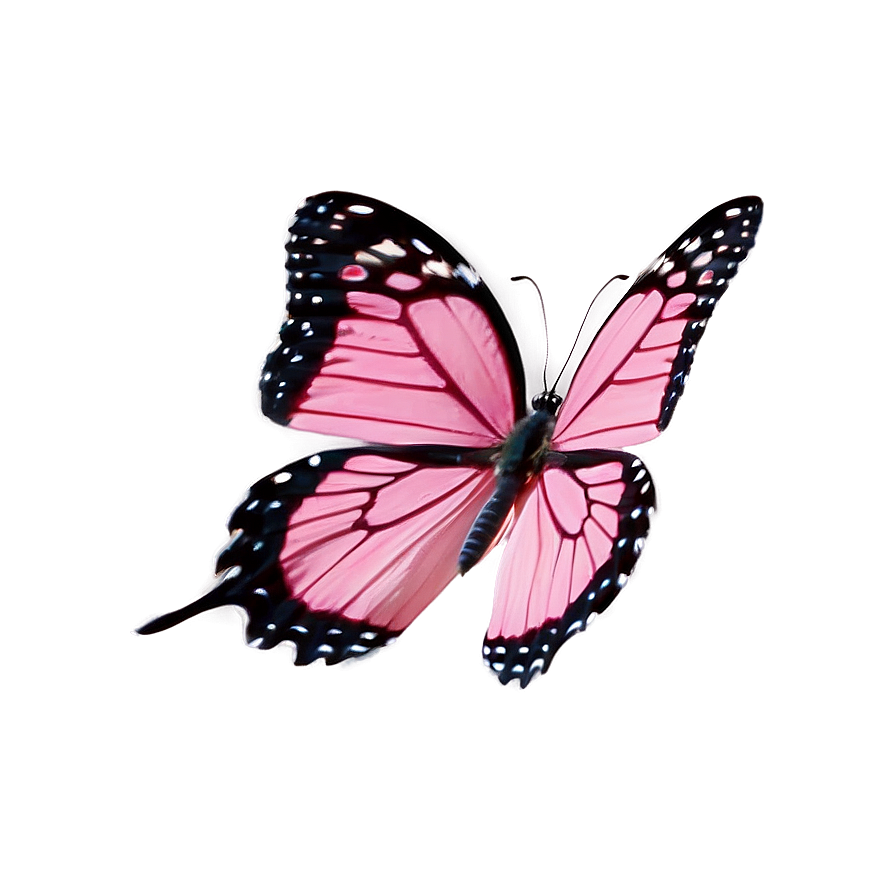 Pink Butterfly In Nature Png Dye46