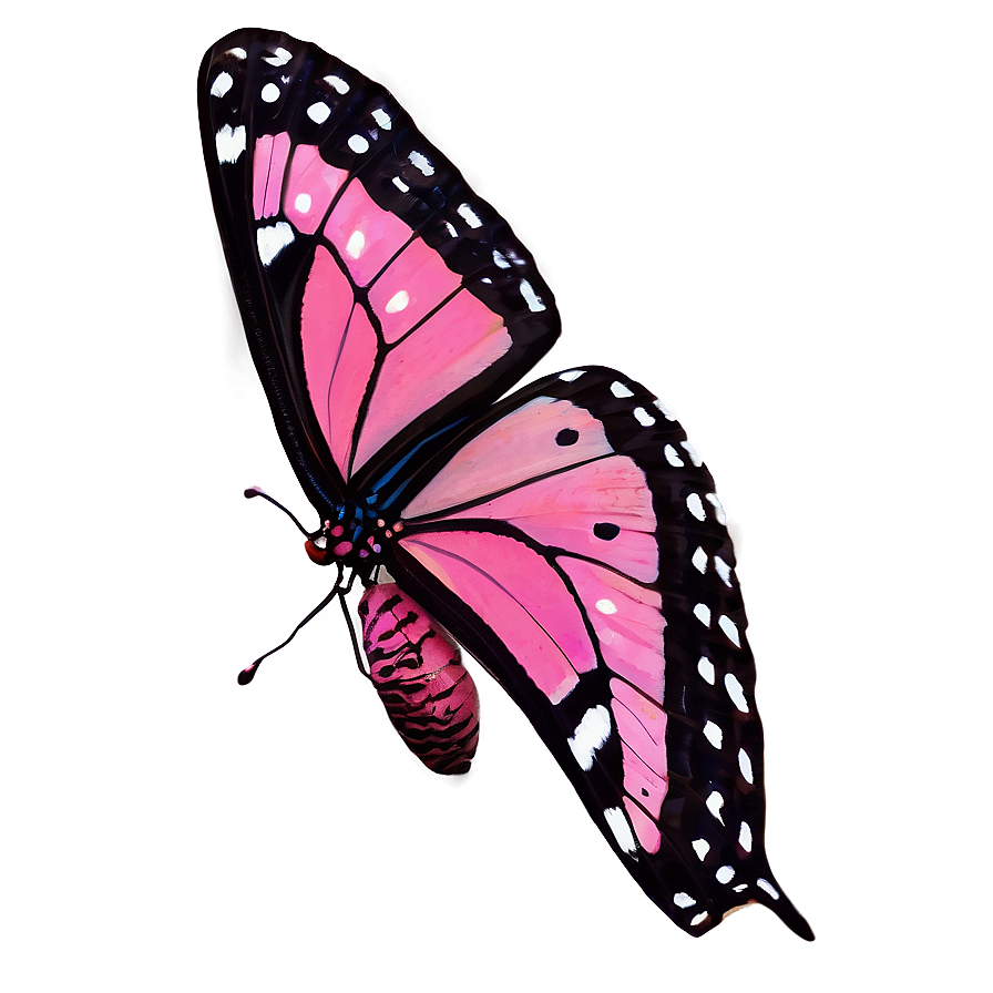 Pink Butterfly In Wild Png Ego70