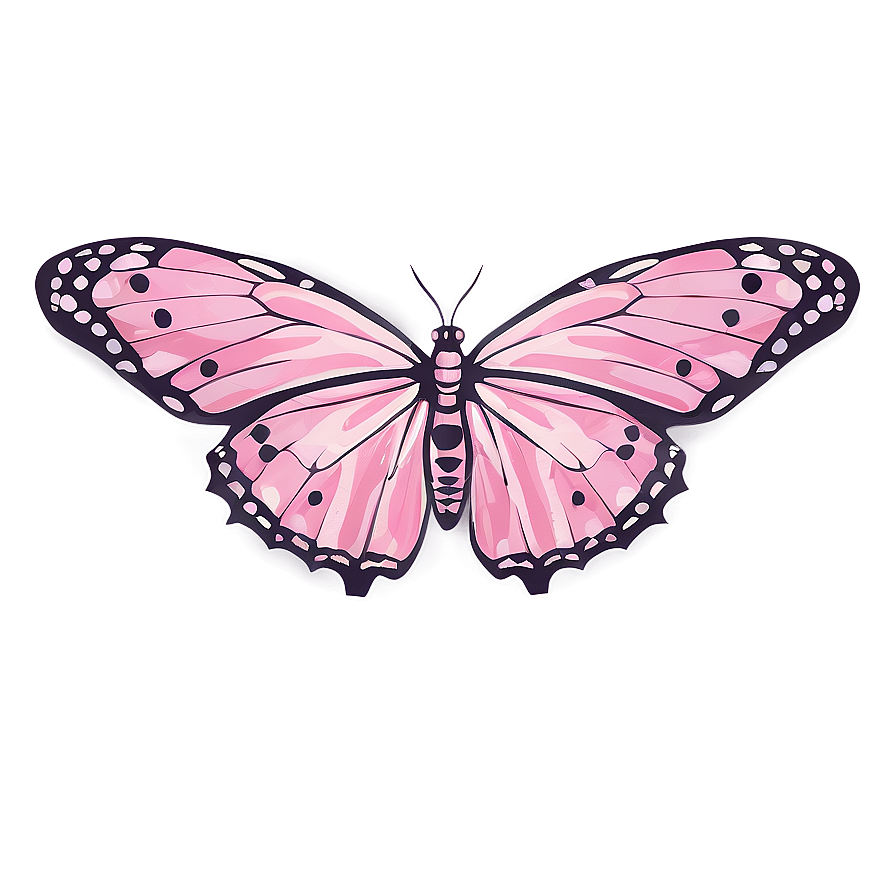 Pink Butterfly Outline Png Sjp