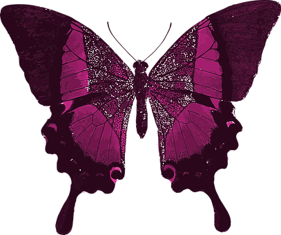 Pink Butterfly Silhouette PNG with transparent background