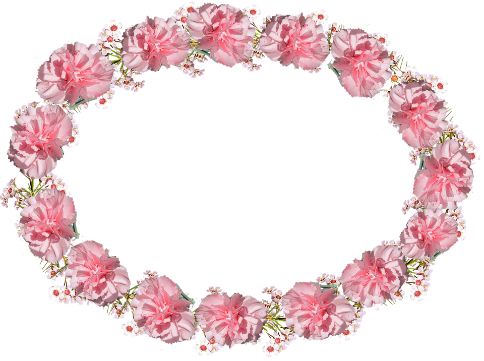 Oval, Frame, Pink, Carnation - Flower Border Design Oblong, HD Png Download PNG with transparent background