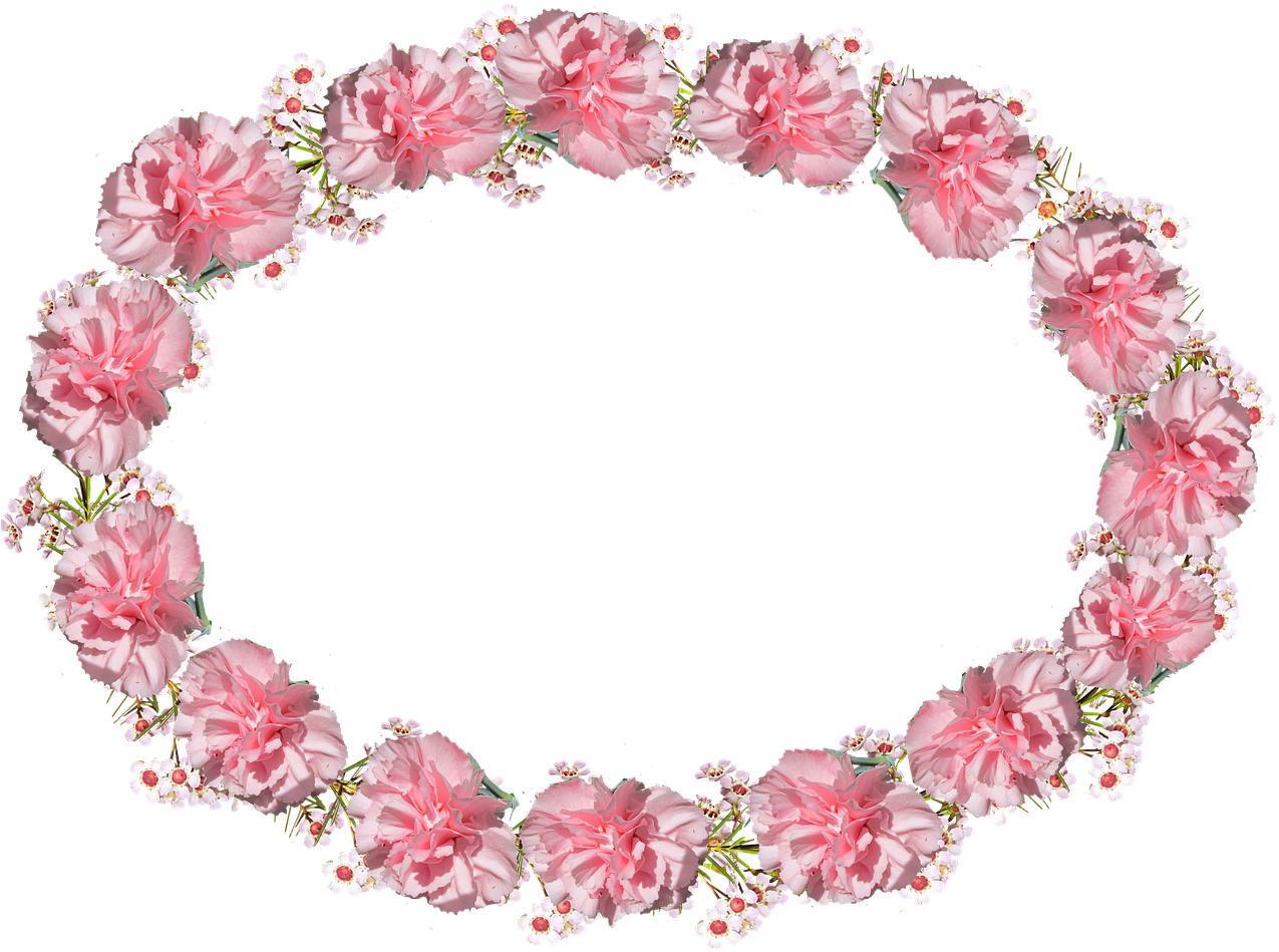Oval Frame Pink Free Picture, HD Png Download PNG with transparent background