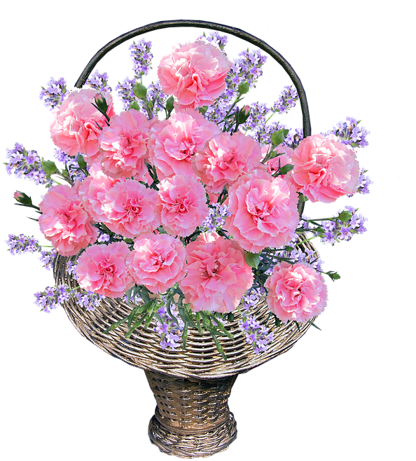 Basket, Carnations, Pink, Arrangement - Claveles Hermosos, HD Png Download PNG with transparent background