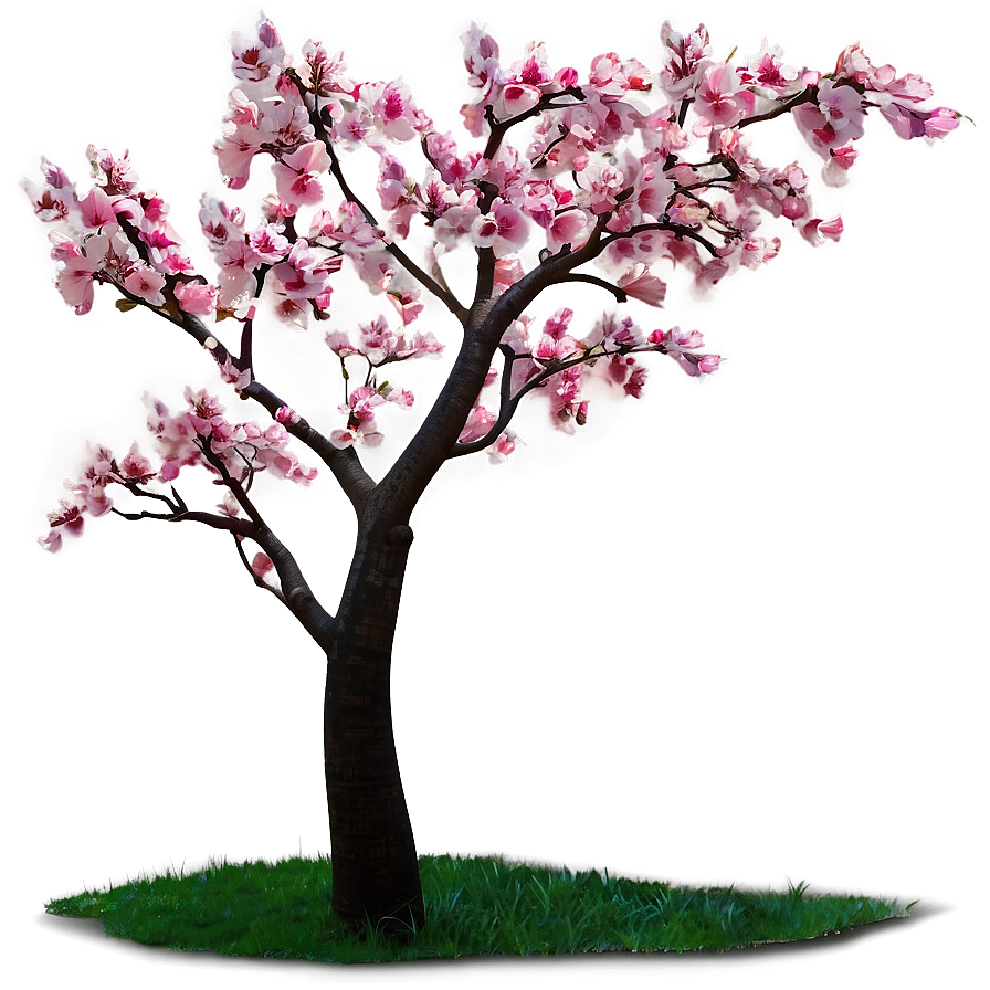 Pink Cherry Tree Png Mlp