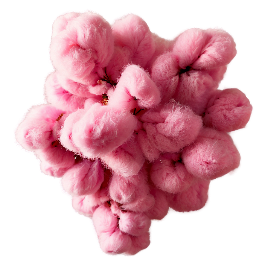 Pink Cotton Puff Png Krv