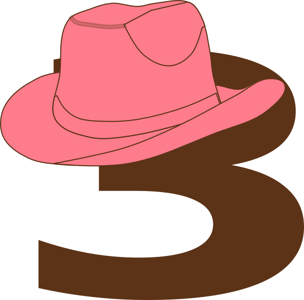 Pink Cowgirl Hat Illustration PNG with transparent background