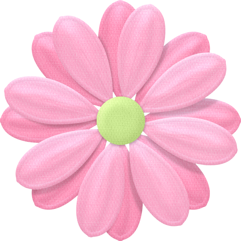 Pink Daisy Illustration