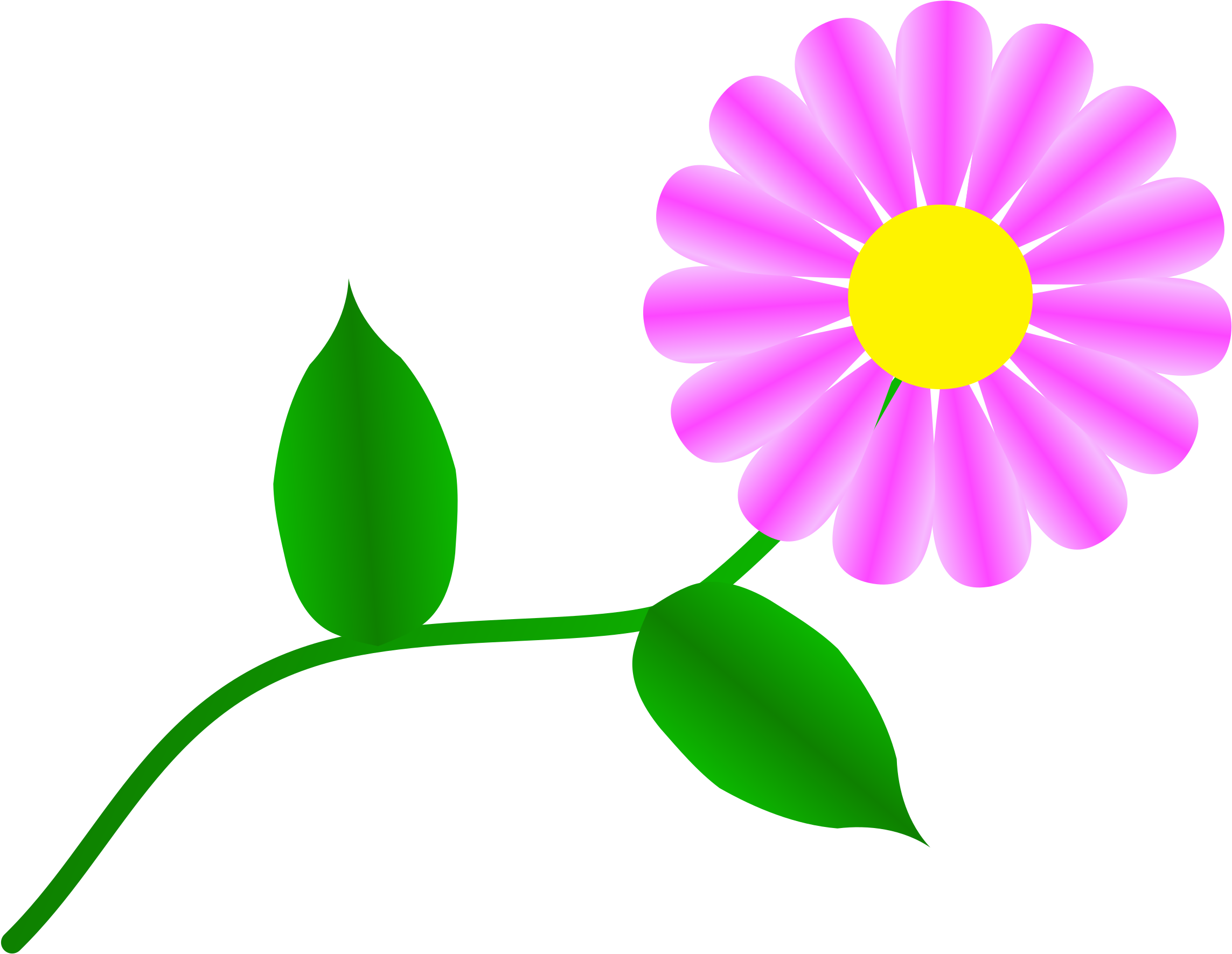 Pink Daisy Vector Illustration