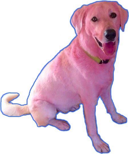 #dog #aesthetic #pink #blue #pinkdog #grunge #tumblr - Clifford The Big Red Dog Irl, HD Png Download PNG with transparent background
