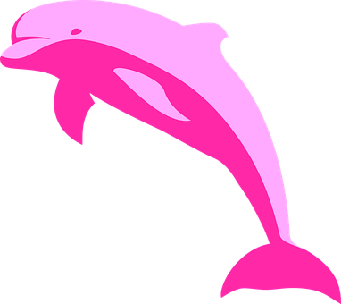 Pink Dolphin Vector Art PNG with transparent background