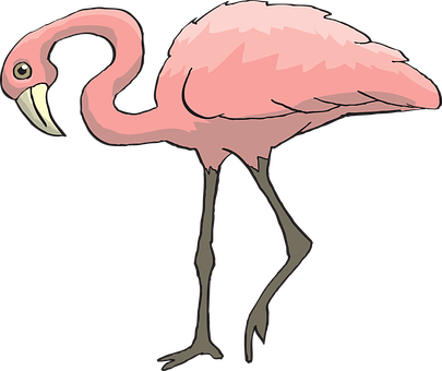 Pink Flamingo Cartoon PNG with transparent background