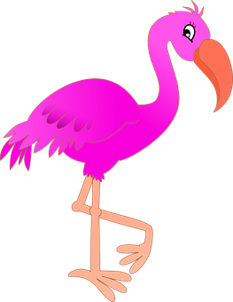 Pink Flamingo Cartoon Illustration