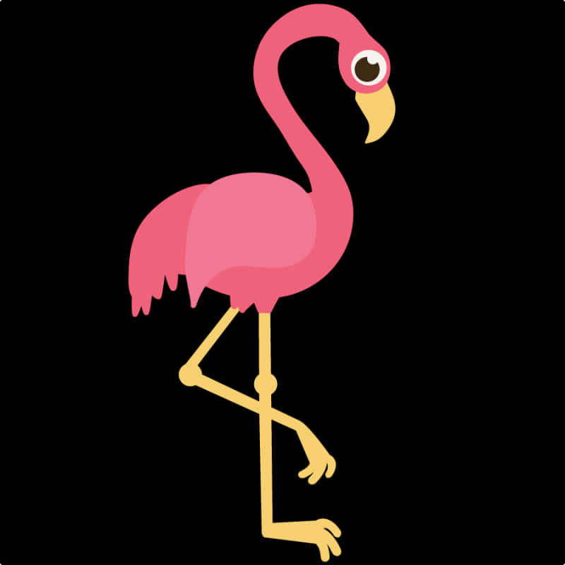 Pink Flamingo Clipart - Flamingo With No Background, HD Png Download PNG with transparent background
