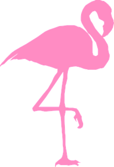 Pink Flamingo Silhouette PNG with transparent background