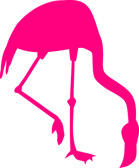 Pink Flamingo Silhouette PNG with transparent background