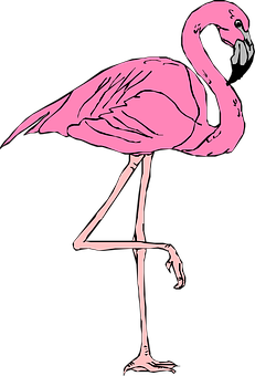 Pink Flamingo Standing One Leg PNG with transparent background
