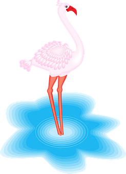 Pink Flamingo Standingin Water PNG with transparent background