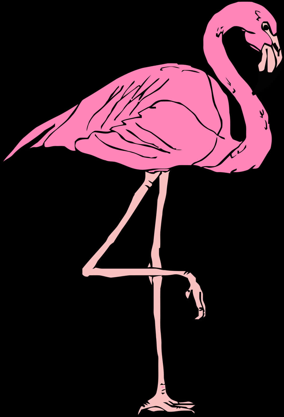 Pink Flamingo Vector Art