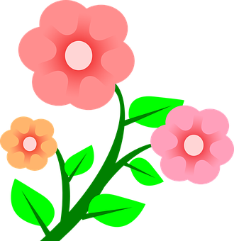 Pink Floral Vector Illustration PNG with transparent background
