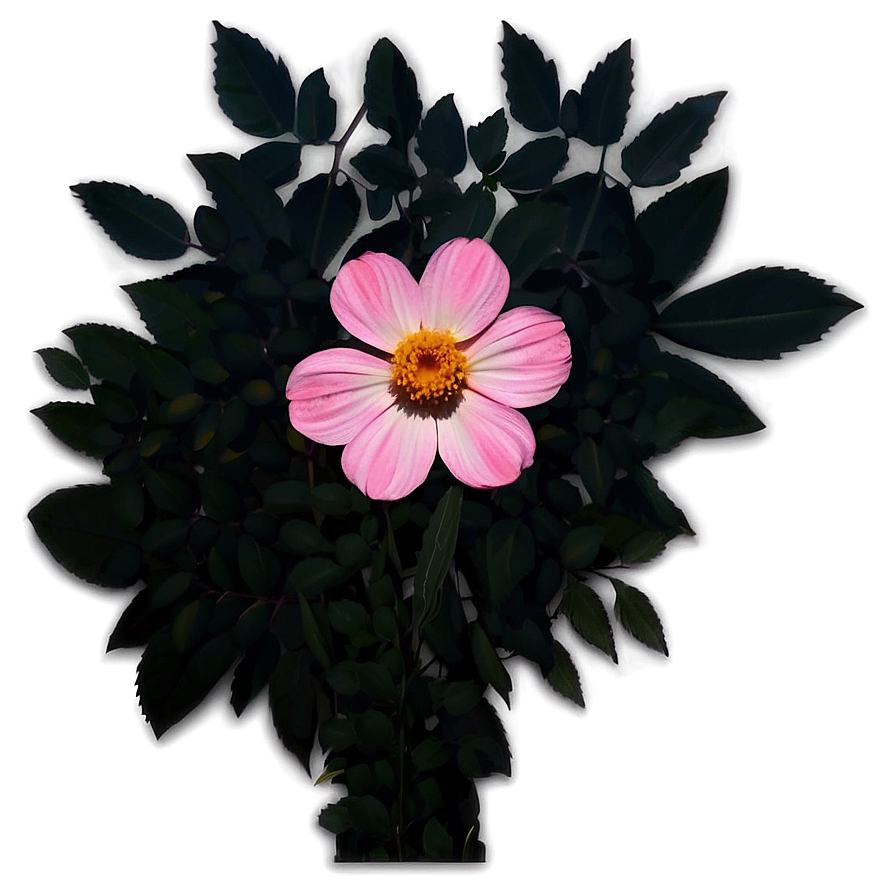 Pink Flower Silhouette Png 71