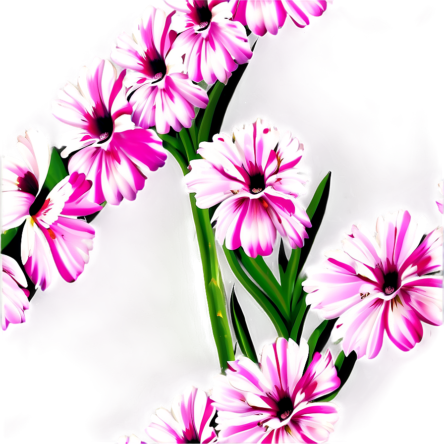 Pink Flowers Closeup Png Mxu