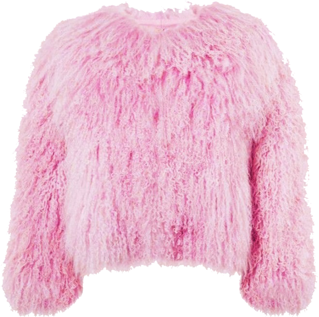 Pink Fuzzy Sweater Fashion Item