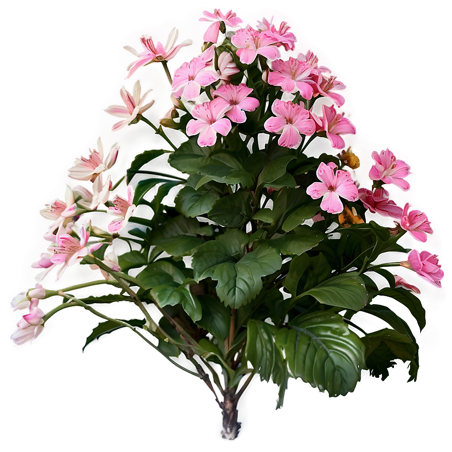 Pink Garden Flowers Png Egd12